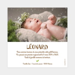 faire part de naissance lion photo